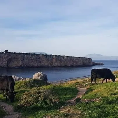 فندق مبيت وإفطار Bradamante شينيسي